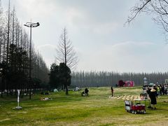 -黄海国家森林公园