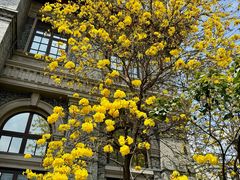 -四川大学(华西校区)