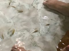 -御池园(顾村公园店)