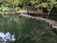 -阿哈湖国家湿地公园