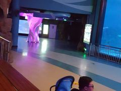 -烟台海昌鲸鲨海洋公园