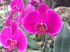 -南通洲际绿博园