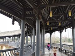 -眉山湿地公园(东坡区)