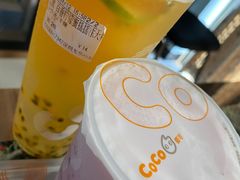 -CoCo都可(白石洲店)