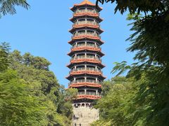 -红花山公园
