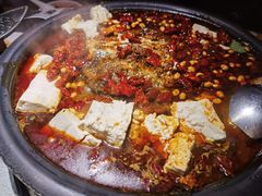 重庆豆花烤鱼-探鱼·鲜青椒爽麻烤鱼(番禺万达店)