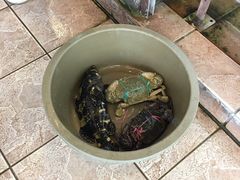 -真浪花园海鲜餐馆