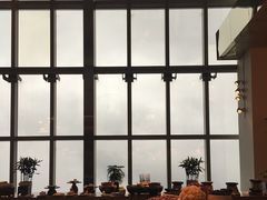 -上海柏悦酒店·世纪100牛排馆