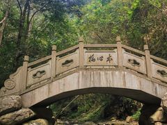 -江西阳明山国家森林公园