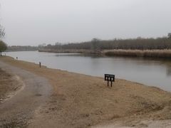 -西青郊野公园