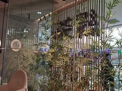 -绿茶餐厅(滨海万达广场店)