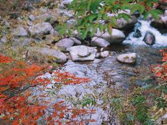 -丹东天桥沟景区