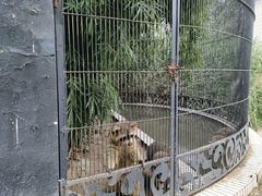 -金庭庄园酒店-停车场