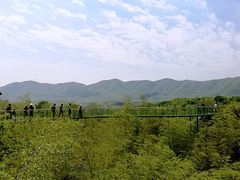 景点-陶祖圣境风景区