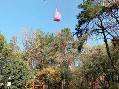 -东湖磨山景区