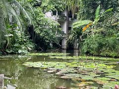 -中国科学院西双版纳热带植物园