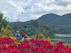 -广州市石门国家森林公园