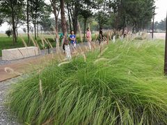 -汉长安城未央宫国家考古遗址公园