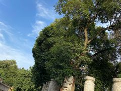 -宝通禅寺