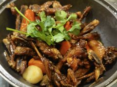 美极鸭五件-美极鲜食坊(宝安南路店)