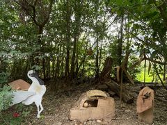 -华侨城湿地公园