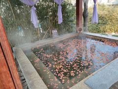 -国御温泉度假小镇