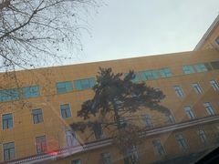 -东北师范大学附属中学(自由校区)