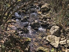 -东白山