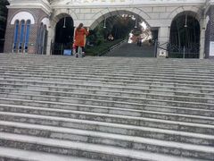 -上海佘山国家森林公园西佘山园