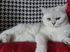 -宠颐生动物医院·小陆分院