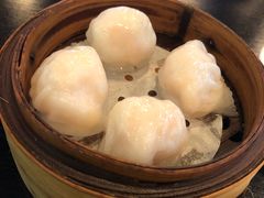 添运来虾饺皇-添运来(茶园奥园广场店)
