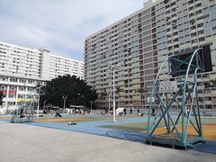 -彩虹村