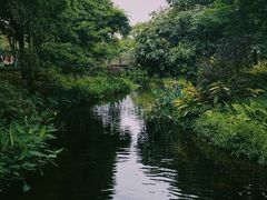 -大湾区中央湿地公园