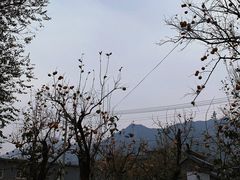 -康陵正德春饼宴26号