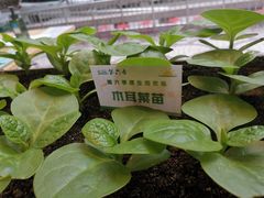 -大草原清真饭庄(沙河店)