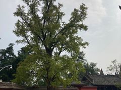 -金堂县云顶石城风景区