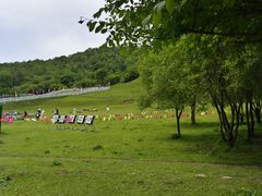-大水川景区