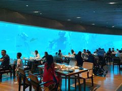 大堂-海棠湾洲际-涛·海底餐厅·美人鱼·自助餐·海底隧道
