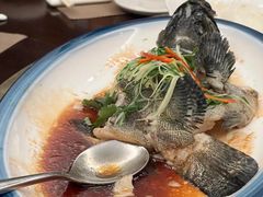 -北海渔村酒楼·粤菜海鲜点心(新华店)