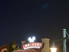 -迪士尼乐园停车场