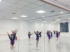 -西安小天鹅艺术团(金花路校区)