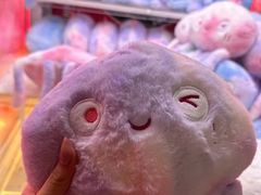 -哆啦星球(小寨店)