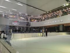 -TheRink大零溜冰场(IFS国金中心店)