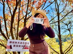 -田野绿世界
