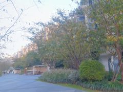 -苏州河梦清园环保主题公园