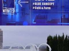 -Blue Concept Cafe&Farm·關於藍