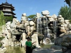 -大港湿地公园