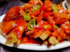 -金龙寨(龙城路店)