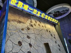-诸城市恐龙博物馆