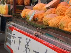 -辽宁电视塔
